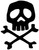 Captain Harlock Skull & Crossbones