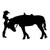 Cowgirl And Horse 1962 Vinyl Sticker