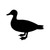 Duck 2 Vinyl Sticker