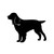 Field Spaniel Dog Vinyl Sticker