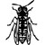 Fly Insect Vinyl Sticker