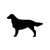 French Spaniel Dog Vinyl Sticker