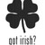 Got Irish Clover Leaf Vinyl Sticker
