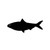 Shad Fish Vinyl Sticker