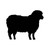 Sheep Lamb Vinyl Sticker