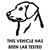 This Vehicle Has Been Lab Tested Labrador Dog Vinyl Sticker