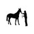 Horse Ap S Decal