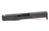 AGENCY SYND S2 STRPD SLD FOR G19 G5