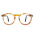 GEEK Eyewear GEEK 703 Rx Eyeglasses