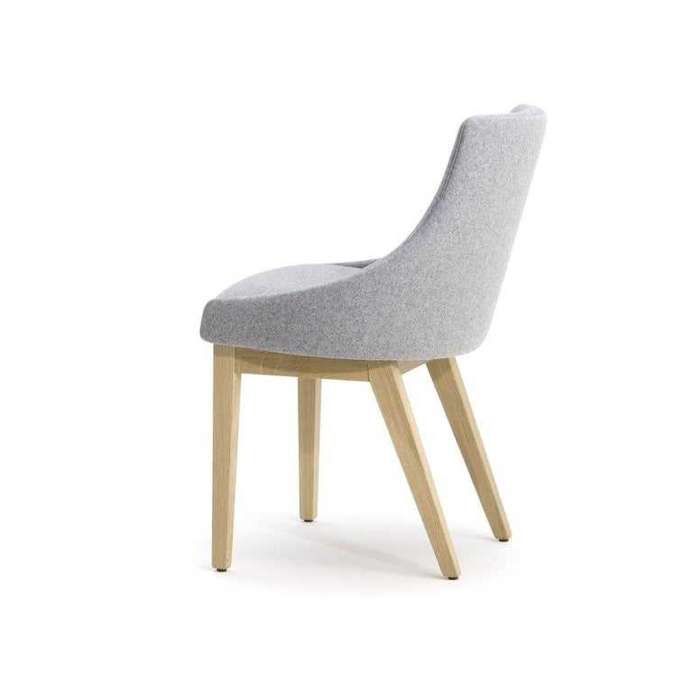 Albert One Casual Dining Chair | Buy at Mondo Collection