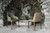Amanda Armchair