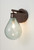 Cintola Wall Light