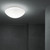 Janeiro Wall / Ceiling Lamp