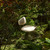 Ivy Chair