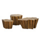 Gaia's Coffee Table Set of 3