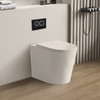 AVIS RIMLESS TOILET FLOOR PAN  AVIS RIMLESS TOILET FLOOR PAN