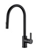 Otus Pull Out Kitchen Mixer Black Matt