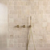 SLIM HAND SHOWER ON BRACKET - BRUSHED GOLD