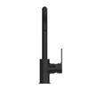 BIANCA KITCHEN MIXER GOOSNECK SPOUT - MATTE BLACK