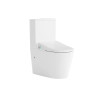 CATANIA BIDET SEAT WITH VEGA RIMLESS TOILET