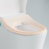 CATANIA BIDET SEAT WITH VEGA RIMLESS TOILET