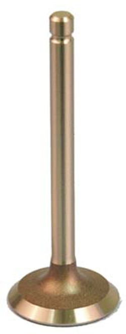 Intake Valve for EZGO (1991-02)