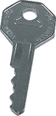 EZGO - Key Replacement - Bag of 25 (Prior 1981)
