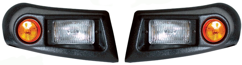 EZGO RXV Black Light Kit