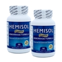 hemisol-2-100.jpg