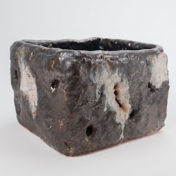 Dante Gambardella, Black and White Garlic Box