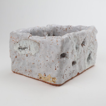 Dante Gambardella, White Garlic Box