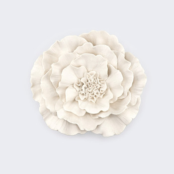 Carla Potter, Peony 6.5