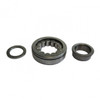 Cylindrical roller bearing NUP 305 ENV - 4