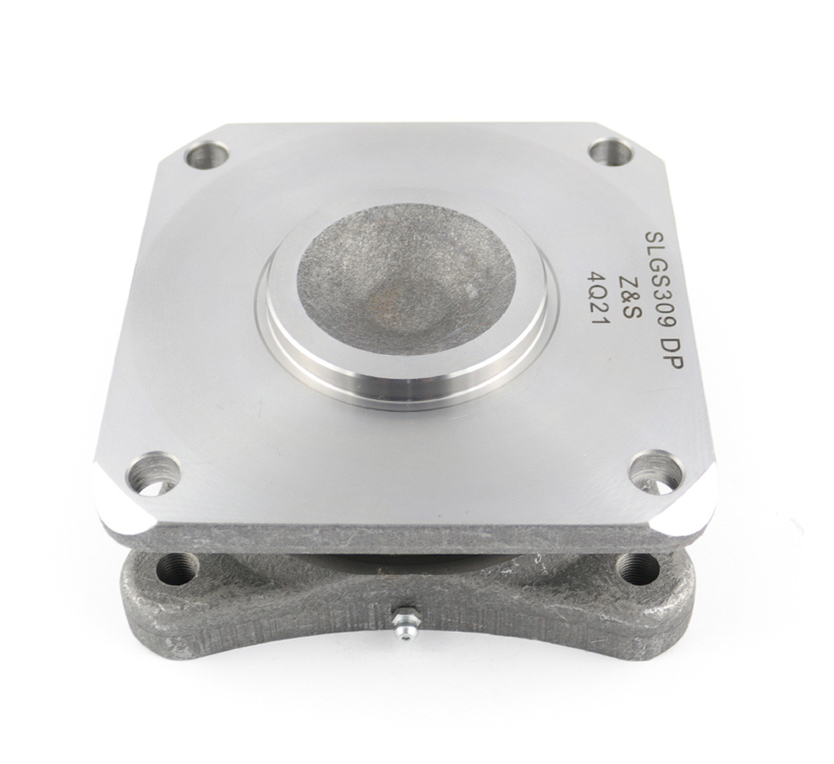 Bearing units SLGS309 DP - 2