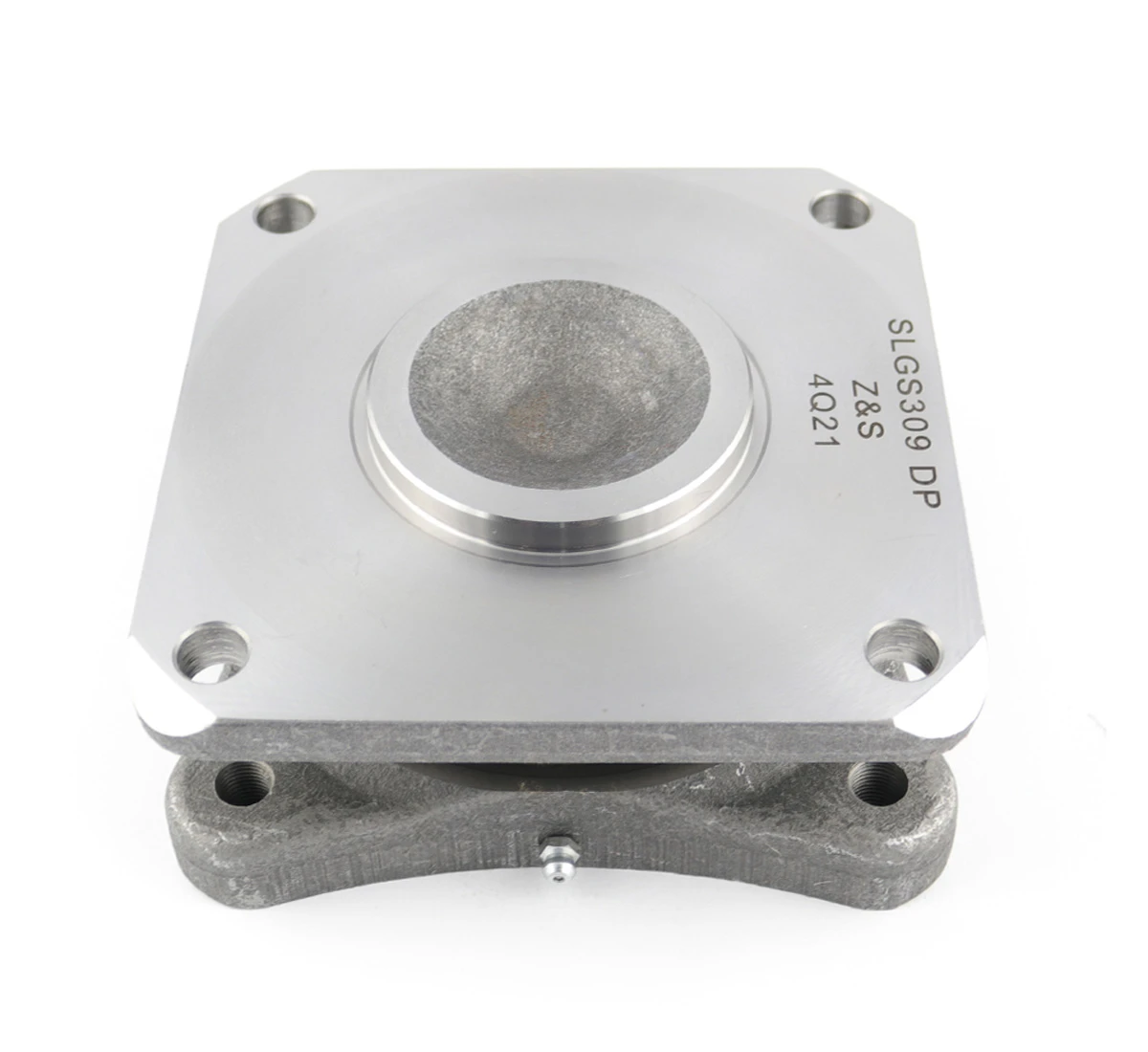 Bearing units SLGS309 DP - 2
