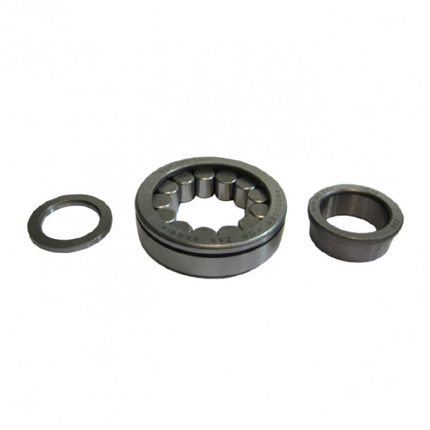 Cylindrical roller bearing NUP 305 ENV - 4