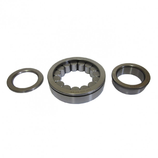 Cylindrical roller bearing NUP 309 NVC3 - 4
