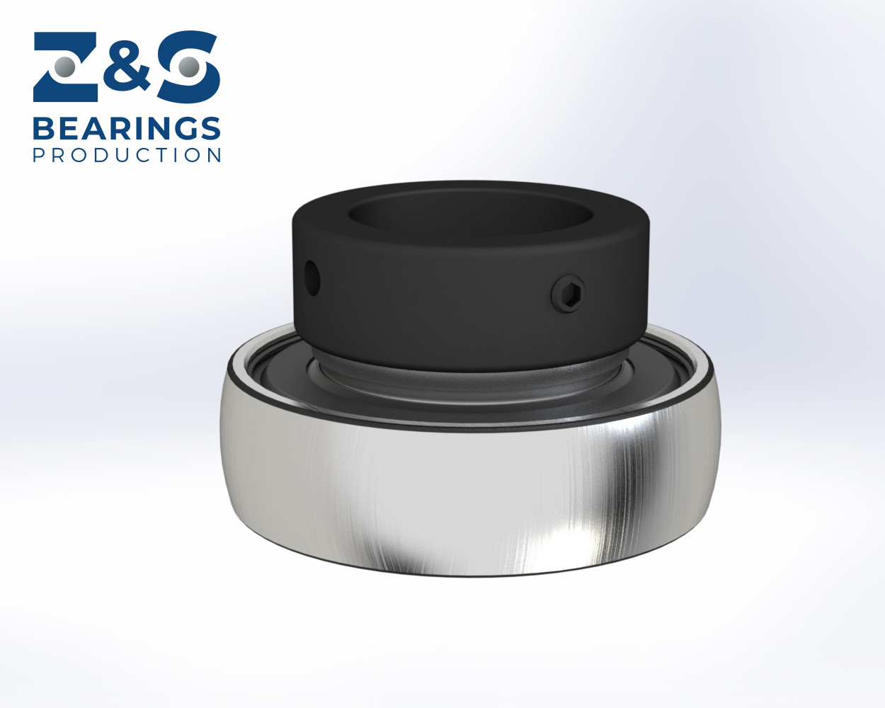 Insert ball bearing RALE 20 NPPB - 2