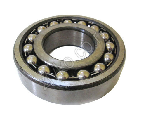 Deep groove ball bearing 1309 - 2