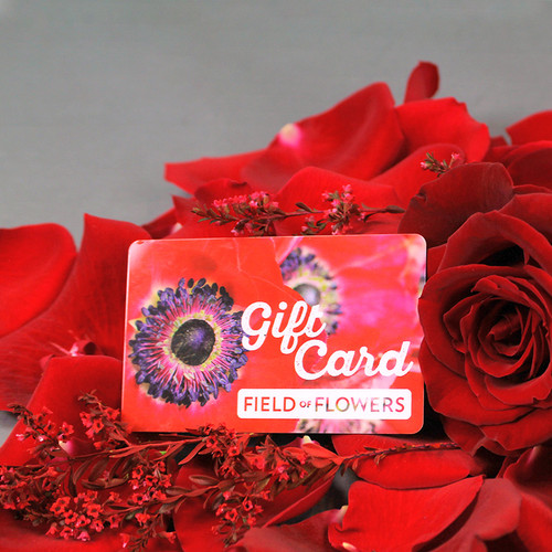 Gift Card          $25 - $200