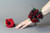 Corsage Spray Rose |  Boutonniere Single Rose
