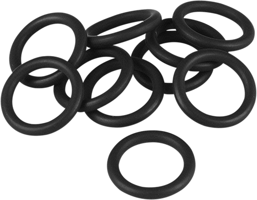 Pushrod Seal DS173210
