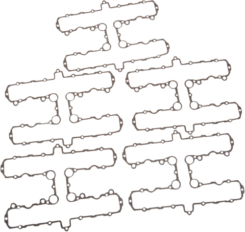 Gasket Valves VV4007