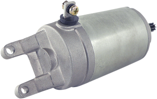 Starter Motor 21100756