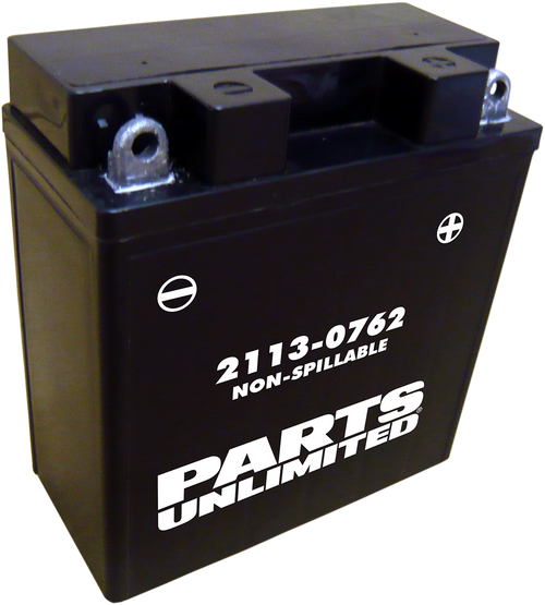 Factory-Activated AGM Maintenance-Free Battery 21130762