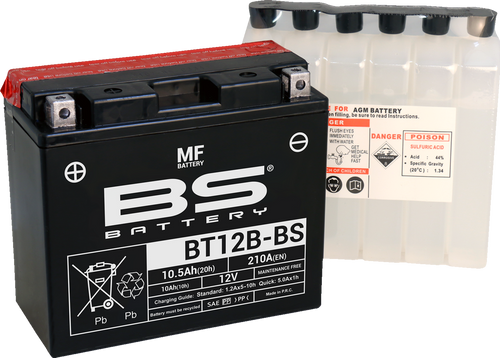 Maintenance-Free Battery 21130861