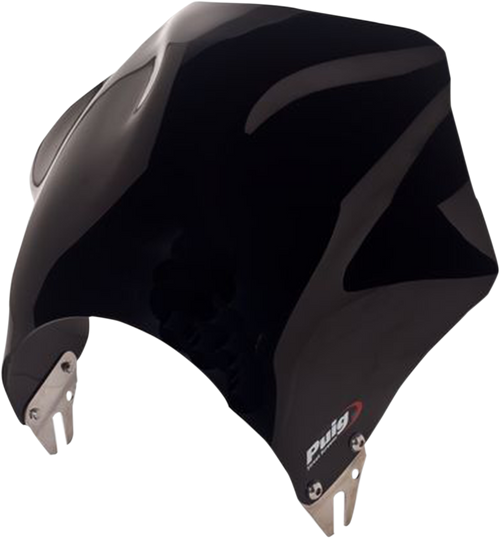 Raptor Windshield 23012600