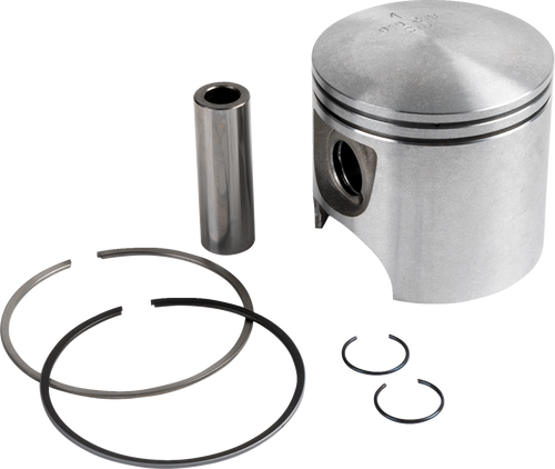 Piston Kit 010819