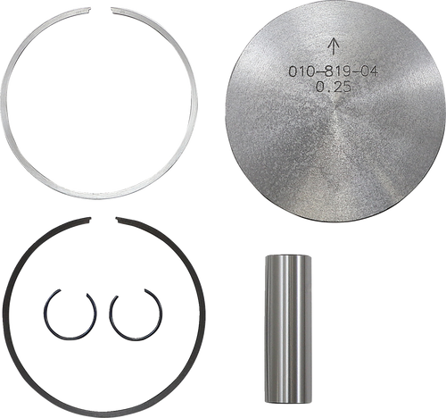 Piston Kit 01081904