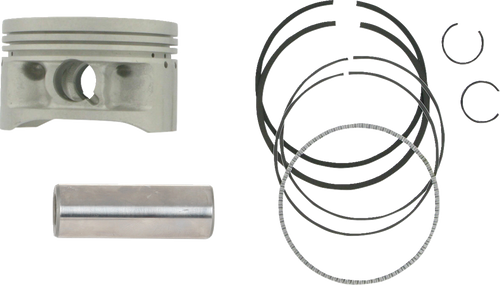 Piston Kit for 4-Stroke 09101198